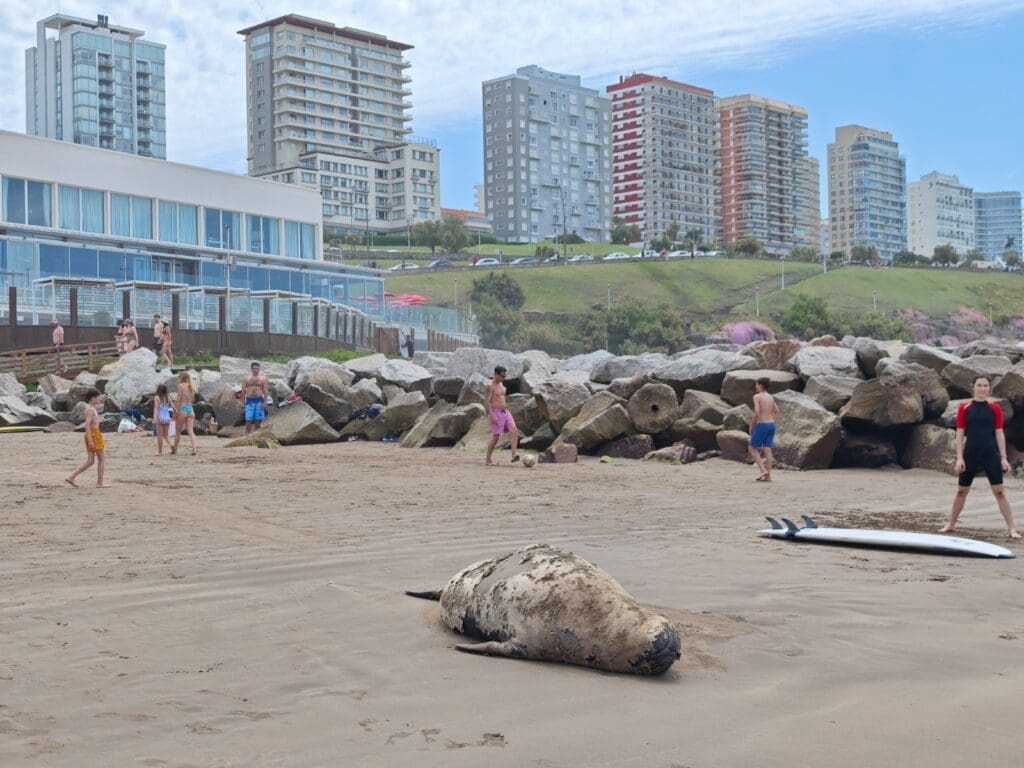 WhatsApp Image 2024 11 16 at 1.08.36 PM 1