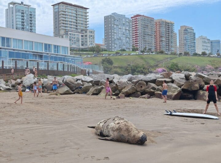 WhatsApp Image 2024 11 16 at 1.08.36 PM 1