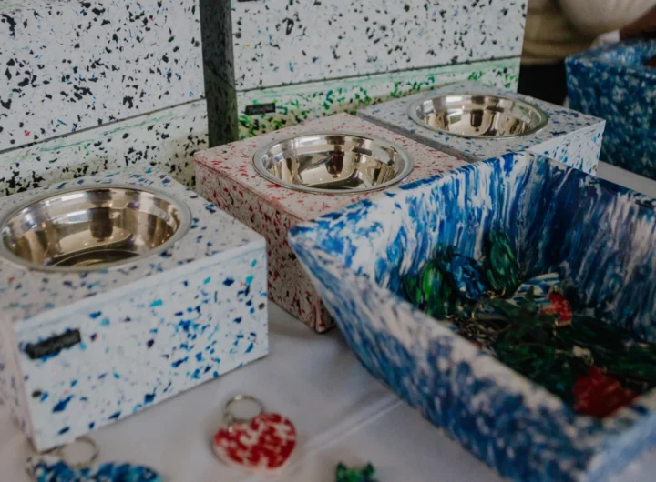 WhatsApp Image 2024 12 15 at 7