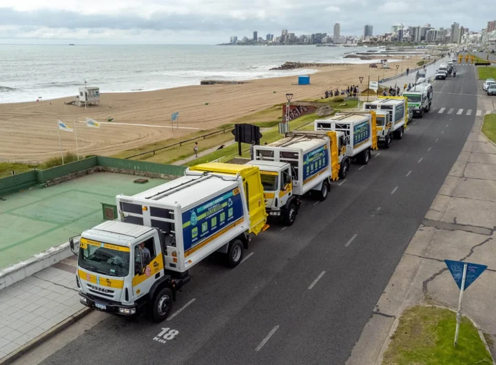 WhatsApp Image 2024 12 17 at 4