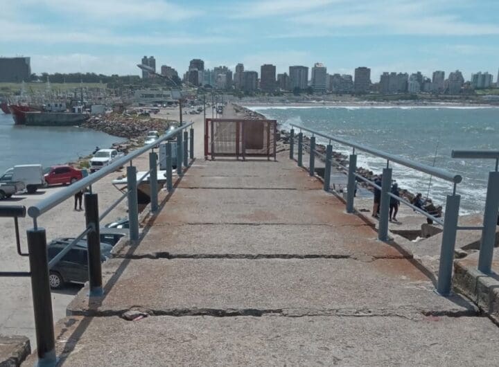 WhatsApp Image 2024 12 20 at 7.33.27 AM