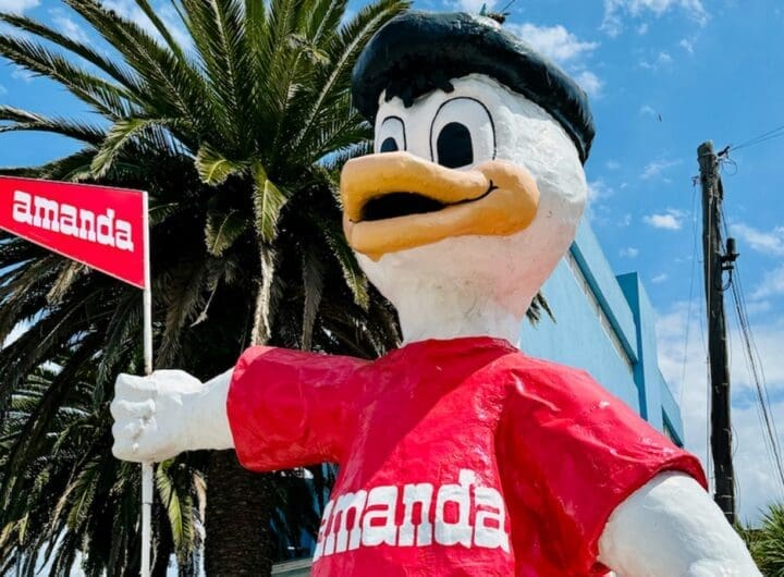 WhatsApp Image 2025 01 02 at 14.31.08