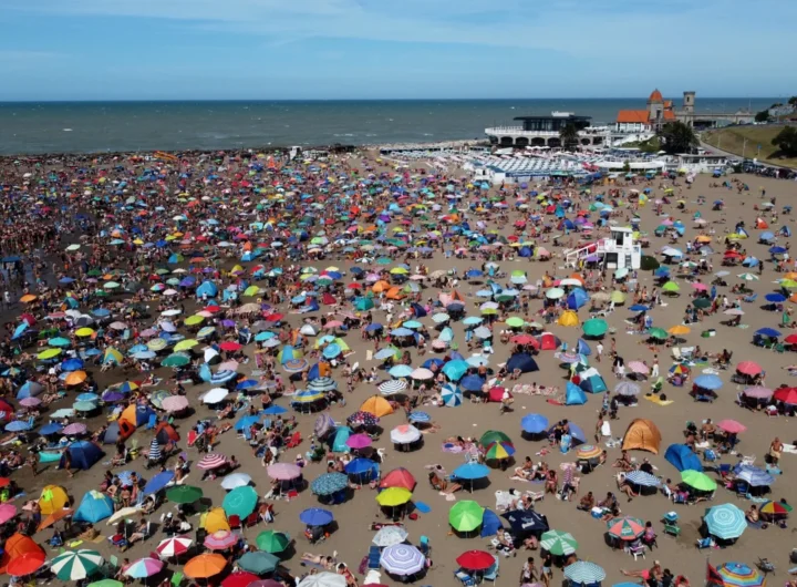 WhatsApp Image 2025 01 13 at 12