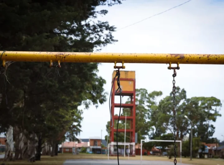 WhatsApp Image 2025 01 29 at 10