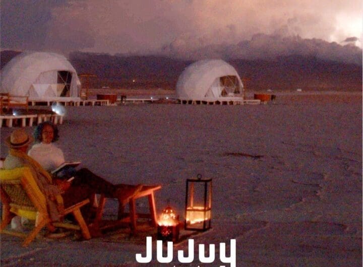 WhatsApp Image 2025 01 31 at 1.50.49 PM