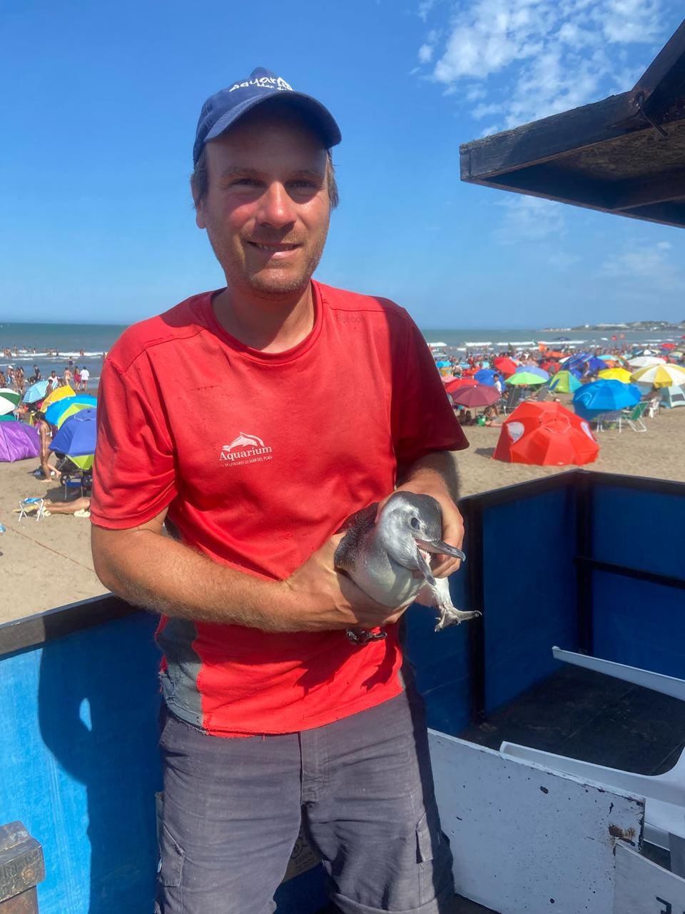 Rescate Heroico en Punta Mogotes: Guardavidas Salvan a un Pingüino Herido 2 IMG 20250220 WA0084