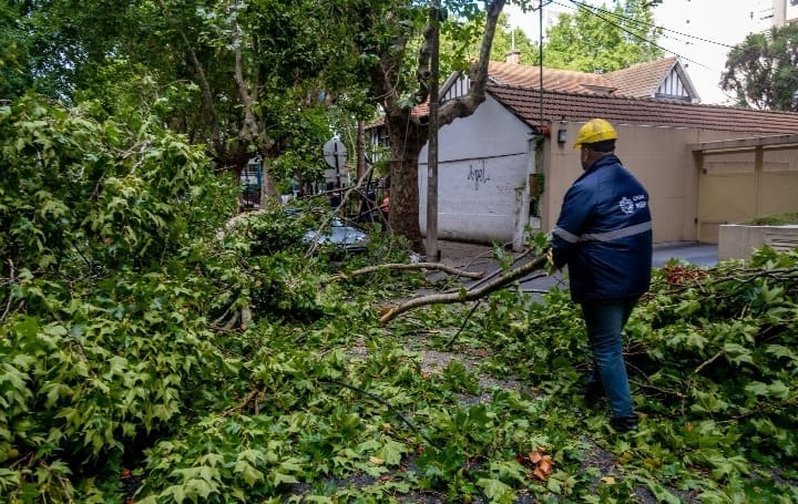 Screenshot 2025 02 04 09 19 30 874 com.whatsapp