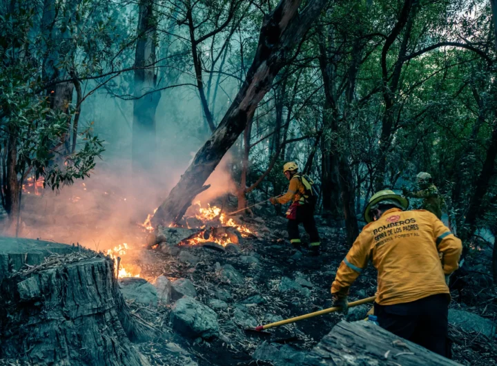 WhatsApp Image 2025 02 10 at 6