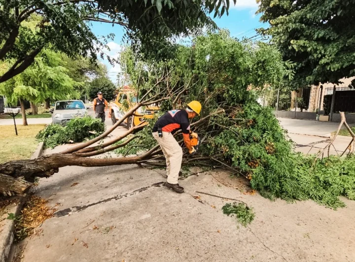 WhatsApp Image 2025 02 10 at 7 1