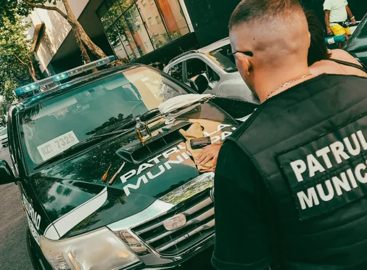 WhatsApp Image 2025 02 11 at 11