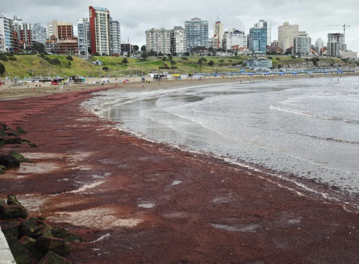 WhatsApp Image 2025 02 14 at 7