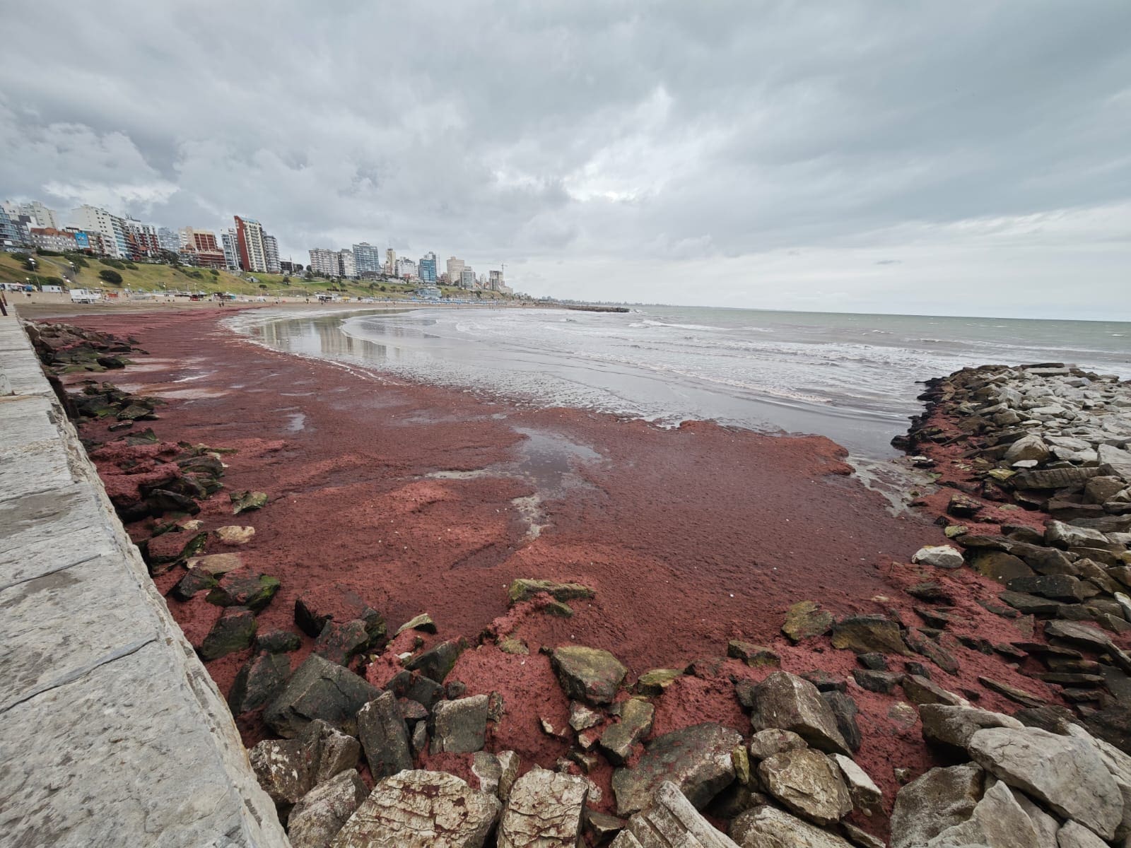 WhatsApp Image 2025 02 14 at 7.16.58 PM