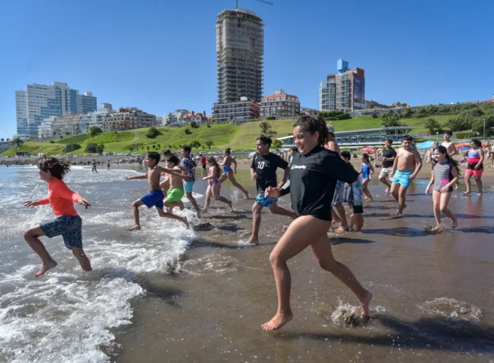 WhatsApp Image 2025 02 15 at 12