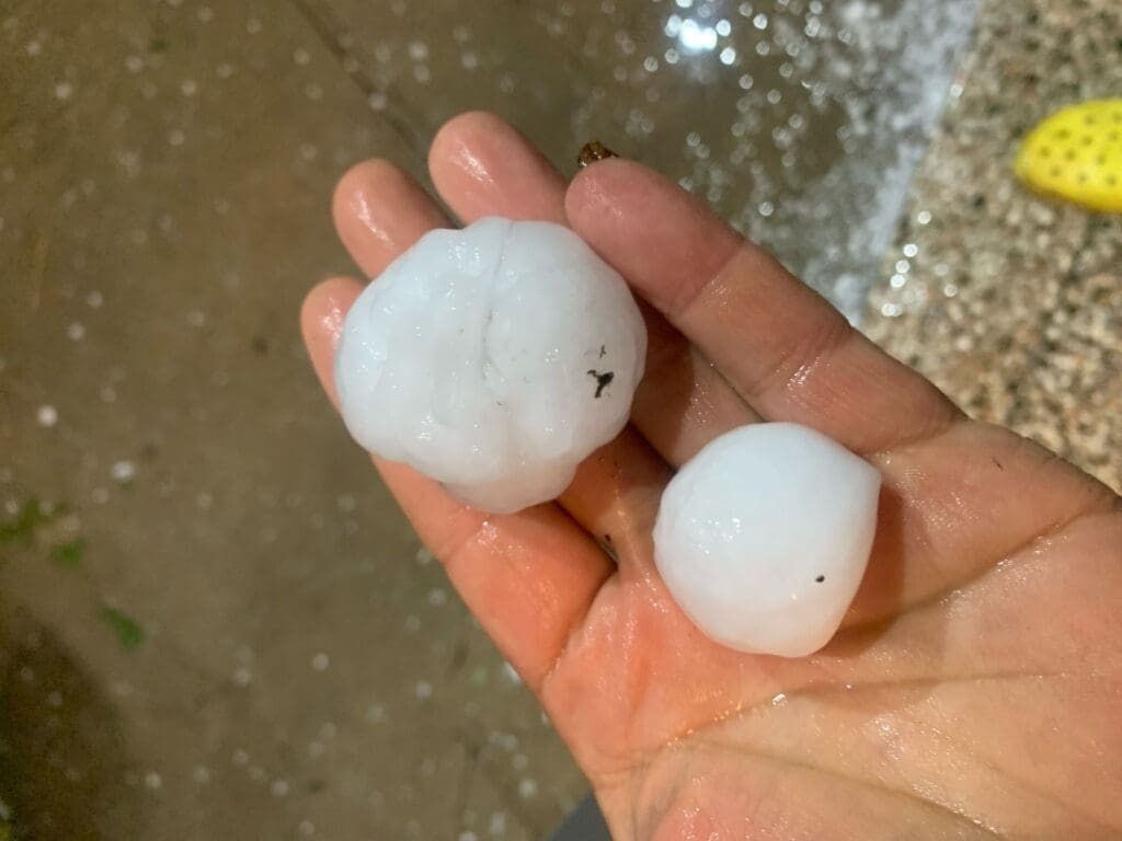 Mar del Plata bajo el hielo: Impresionante granizo sorprendió a la ciudad y revivió recuerdos de eventos pasados 1 WhatsApp Image 2025 02 21 at 8.17.02 PM