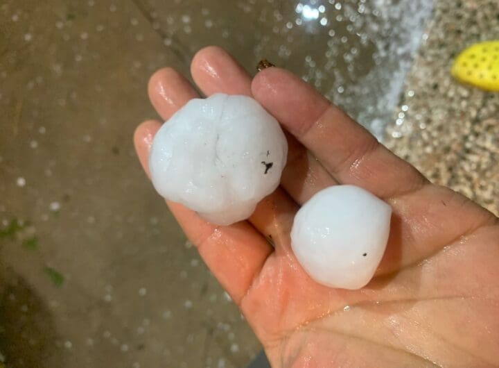 WhatsApp Image 2025 02 21 at 8.17.02 PM