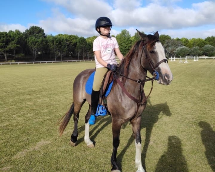 Equitación: Pinamar será escenario de una importante competencia de salto hípico 1 1742138290271