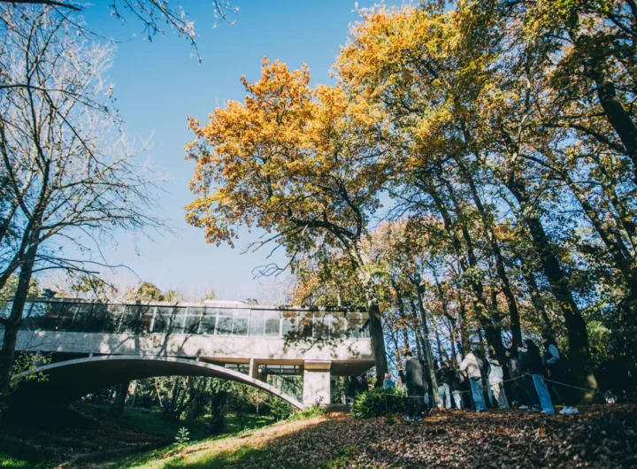 WhatsApp Image 2025 03 11 at 8