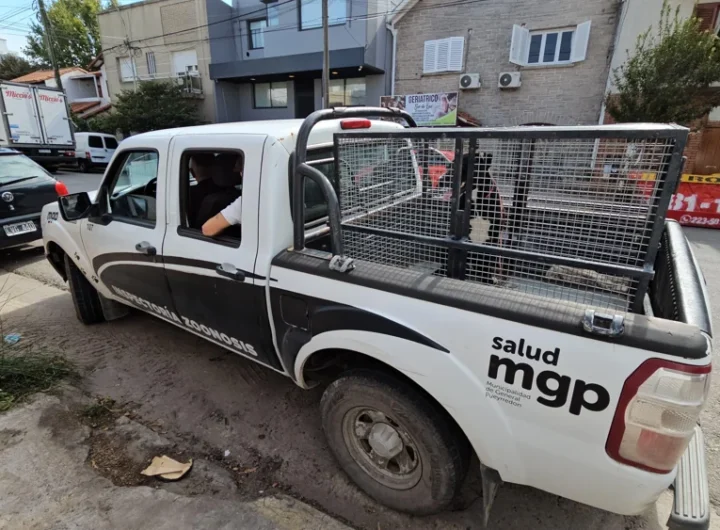 WhatsApp Image 2025 03 19 at 12