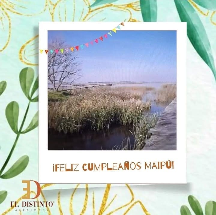 WhatsApp Image 2025 03 29 at 08.43.37