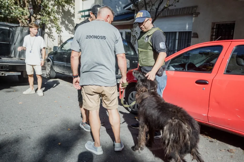 Rescatan a un segundo perro abandonado en España al 900: operativo conjunto de Zoonosis, Fiscalía y DDI 1 converted image 6 1