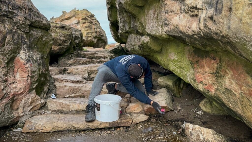 WhatsApp Image 2025 04 15 at 3.51.03 PM