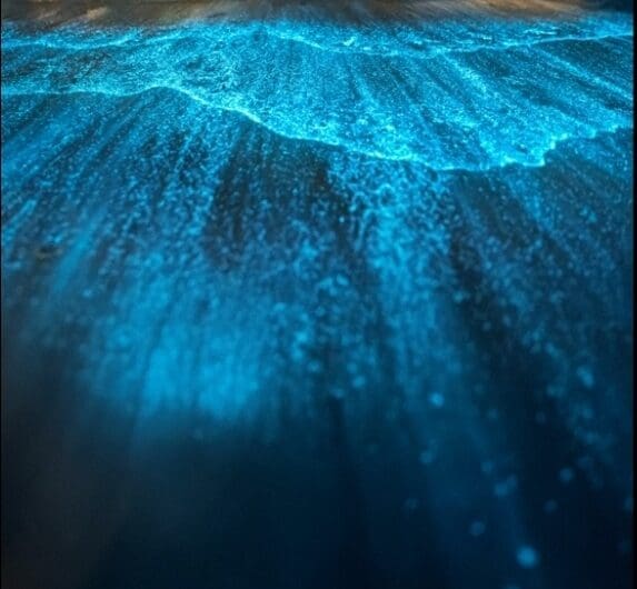 Screenshot 2025 05 23 09 12 10 931 com.google.android.apps .docs .editors.docs