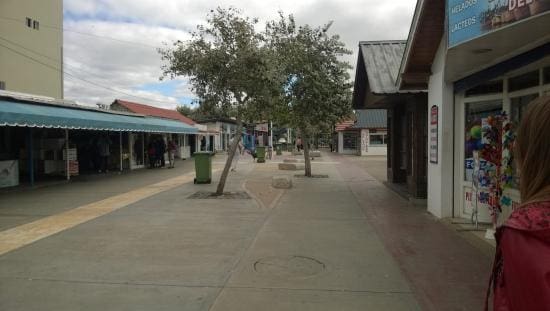El Consorcio Portuario recuperó un predio en el tradicional sector de la Banquina de los Pescadores 1 WhatsApp Image 2025 05 06 at 8.43.30 AM 1