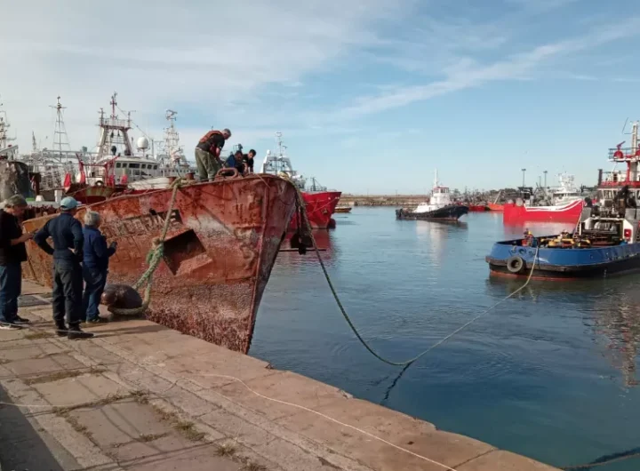 WhatsApp Image 2025 05 14 at 5.22.17 PM