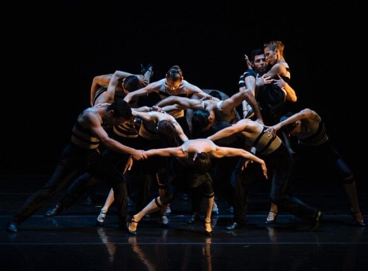 WhatsApp Image 2025 05 15 at 11.36.57 AM