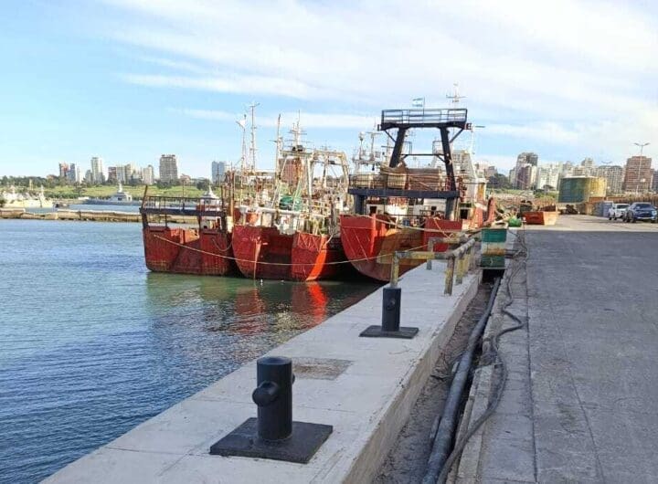 WhatsApp Image 2025 05 21 at 5.50.25 PM 1