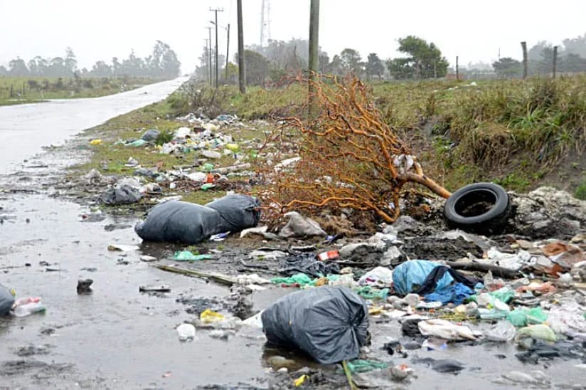 Avanza proyecto que impulsa multas más duras y denuncias de vecinos contra los microbasurales 1 IMG 20250606 WA0033