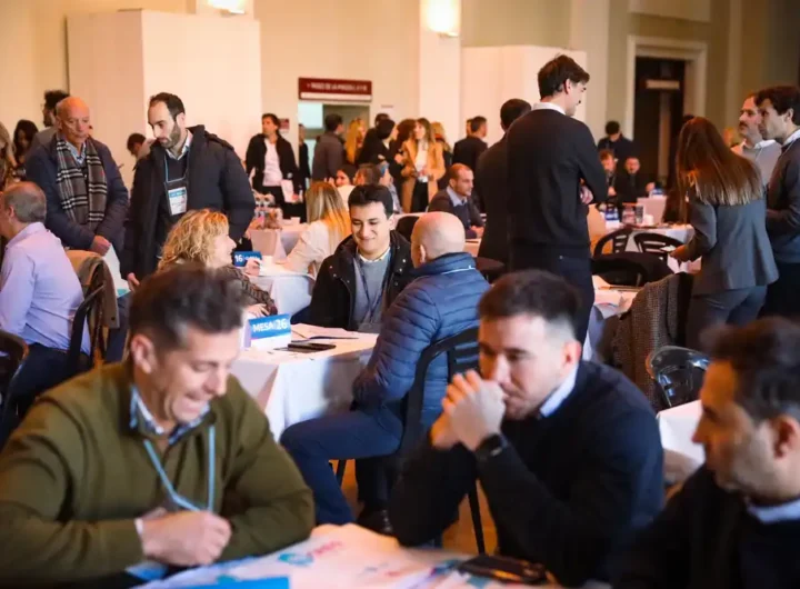 IMG 20250619 WA01071 ultraliviana