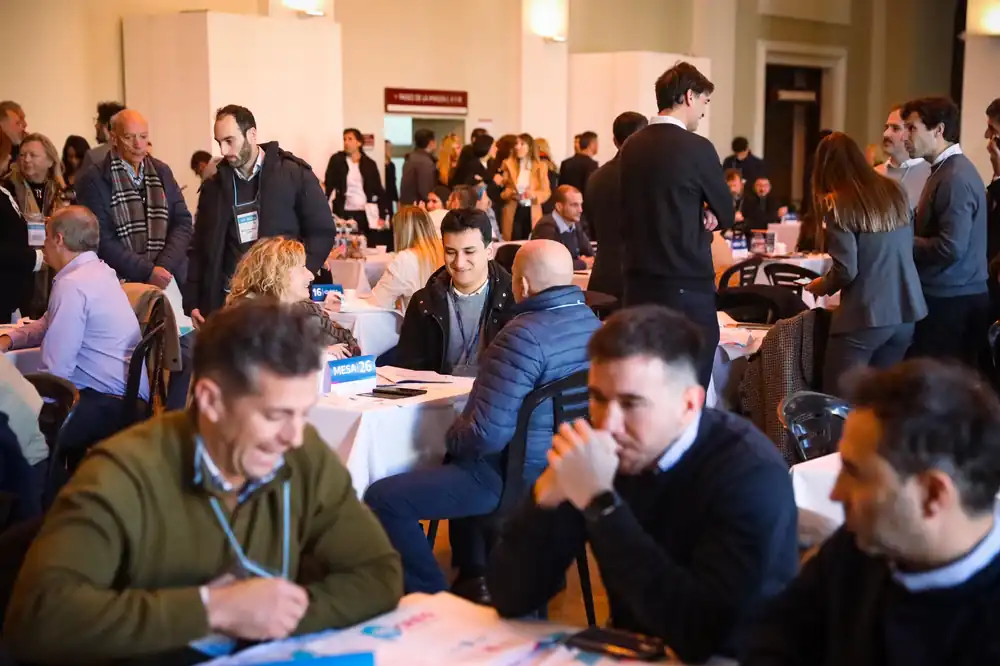 IMG 20250619 WA01071 ultraliviana