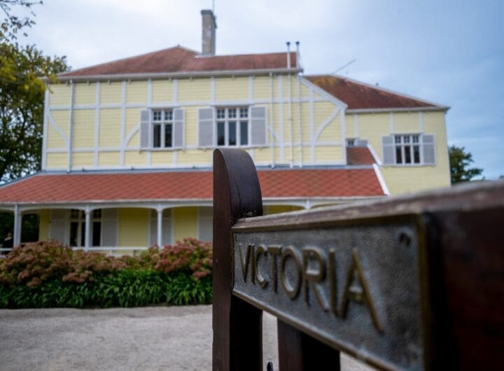 WhatsApp Image 2025 06 03 at 10.23.54 AM