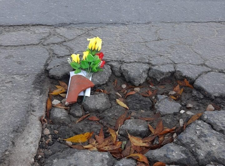 WhatsApp Image 2025 06 04 at 9.16.50 AM