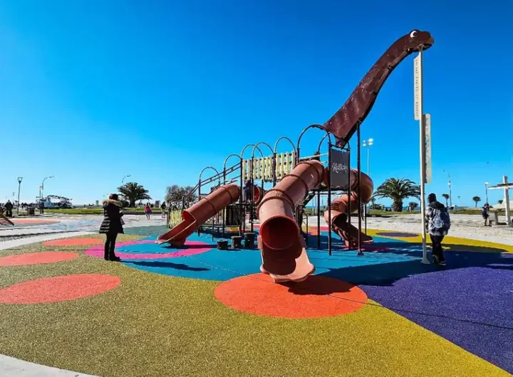 compressed 7781647d faa6 438a 81a9 10a6d4a63f2b.jpeg