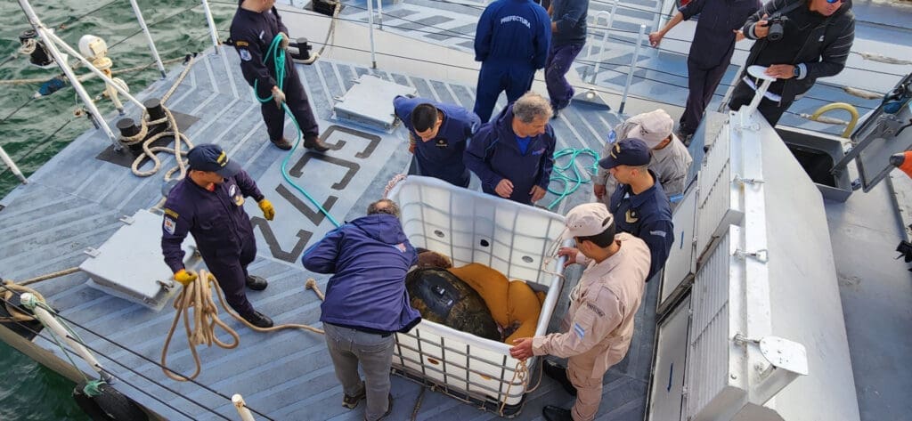 whatsapp image 2025 04 11 at 19.42.32