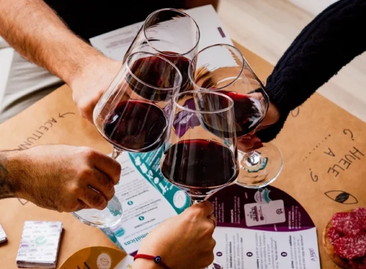 Gacetilla VOG page 0001