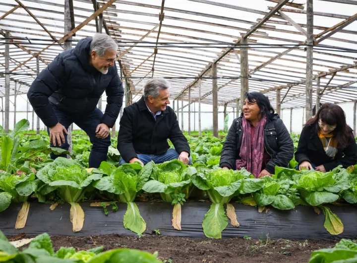 WhatsApp Image 2025 08 08 at 8.53.15 AM