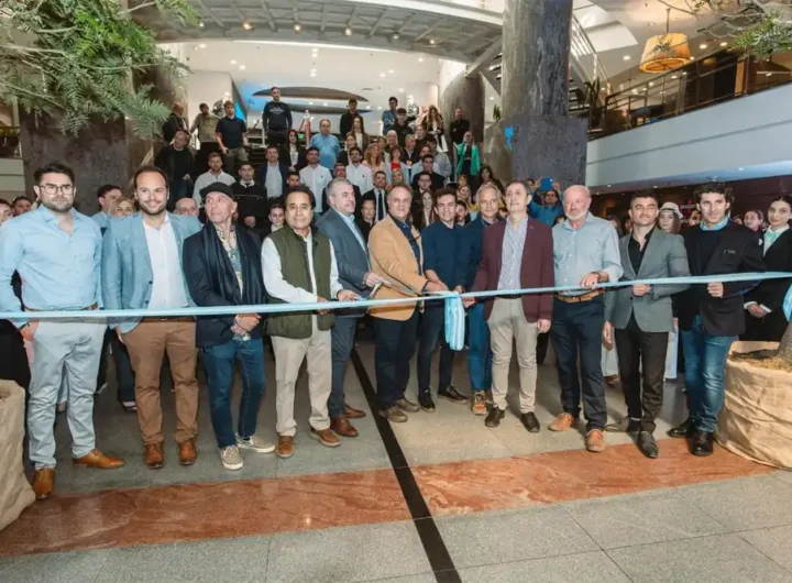 compressed IMG 20250805 WA0031.jpg