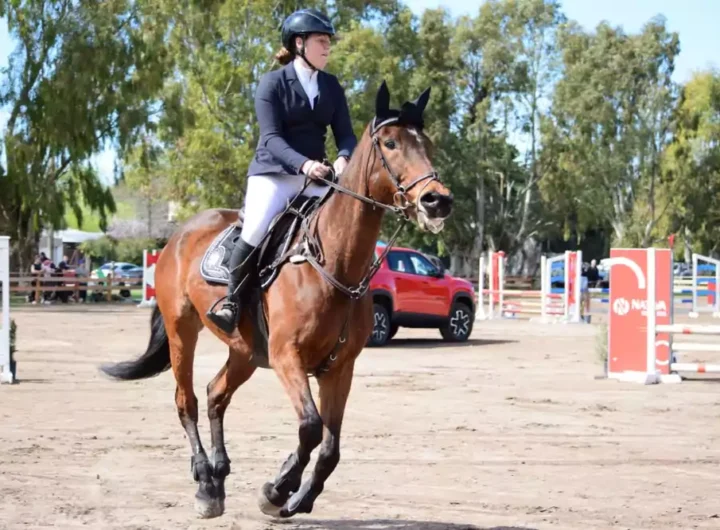 WhatsApp Image 2025 09 10 at 8.07.56 AM