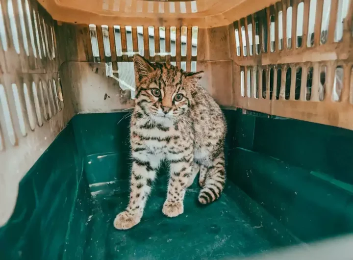 WhatsApp Image 2025 09 19 at 12.24.18 PM