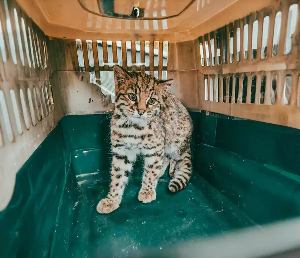 WhatsApp Image 2025 09 19 at 12.24.18 PM