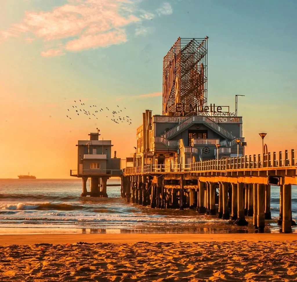 WhatsApp Image 2025 09 30 at 9.58.45 AM recortado 1