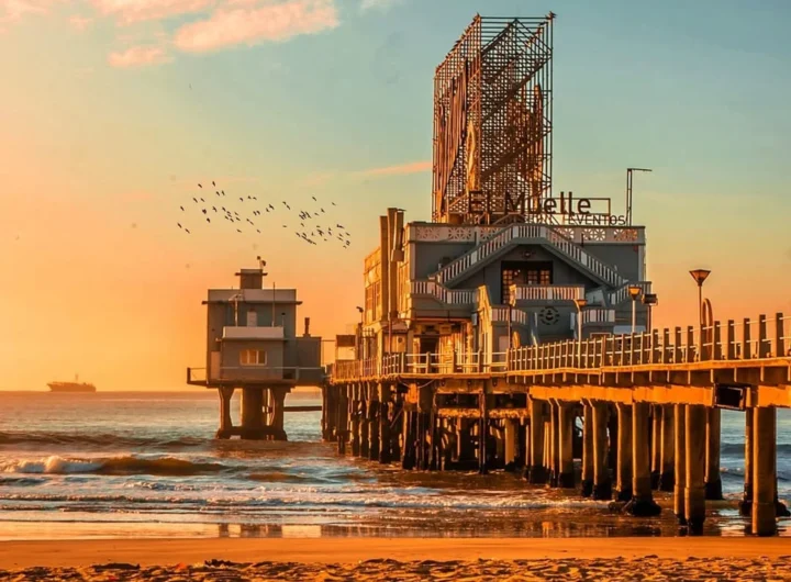 WhatsApp Image 2025 09 30 at 9.58.45 AM recortado 1