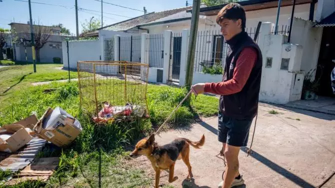 xFotoP20MGPP20 P20Zoonosisweb.jpg.pagespeed.ic .1GEuqiyuhF