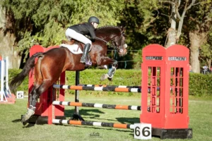 WhatsApp Image 2025 11 10 at 8.35.19 PM