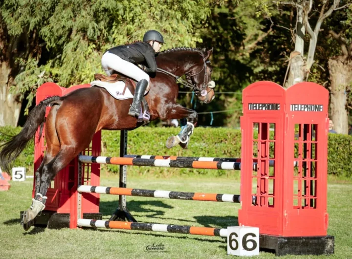 WhatsApp Image 2025 11 10 at 8.35.19 PM