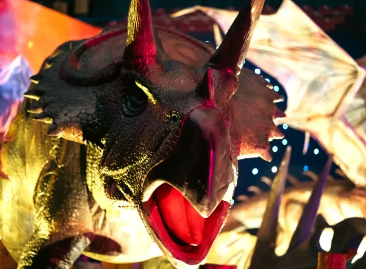 WhatsApp Image 2025 11 19 at 5.03.53 PM