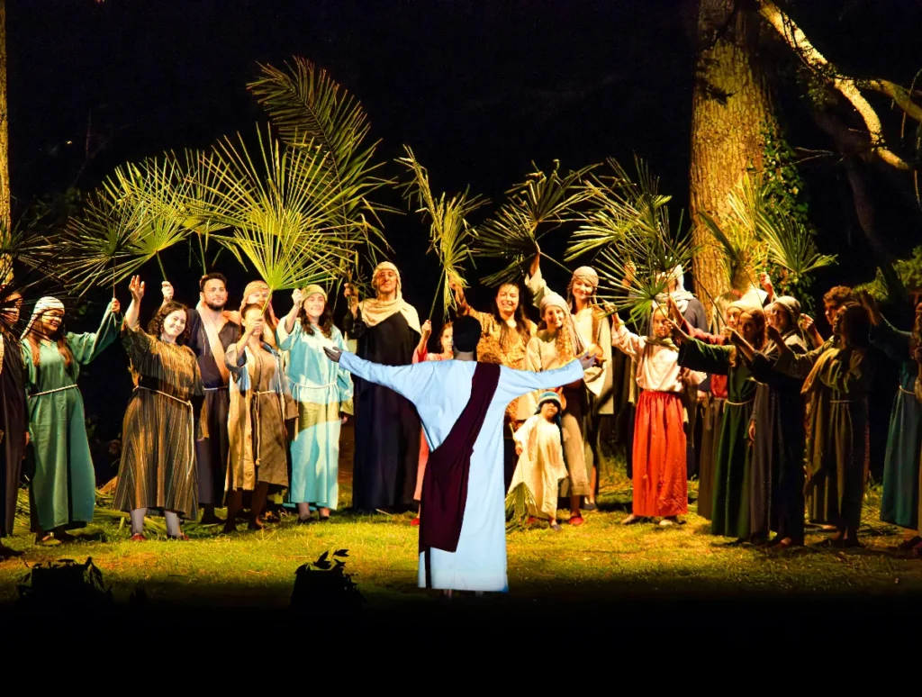 Imagen Entrada triunfal editado